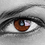 TheGift73